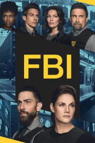 FBI: Season 6