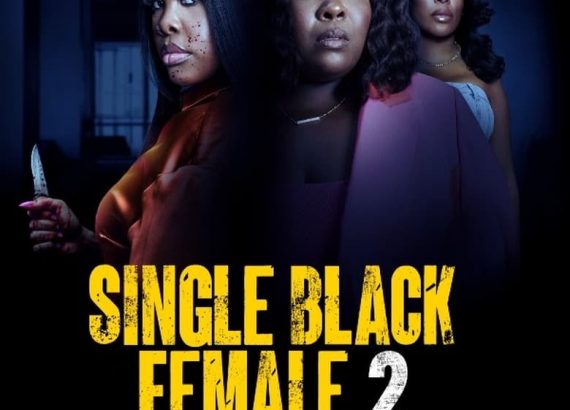 Single Black Female 2: Simone’s Revenge